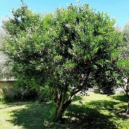 Kapetanakis Pensjonat 4*