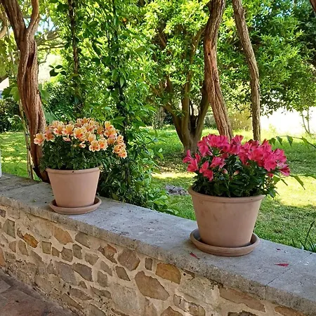 Guest house Kapetanakis